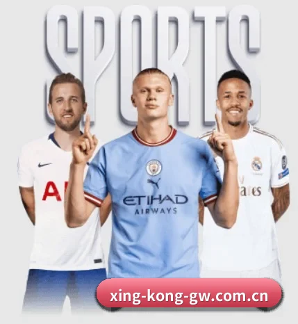 xingkong官网的方向