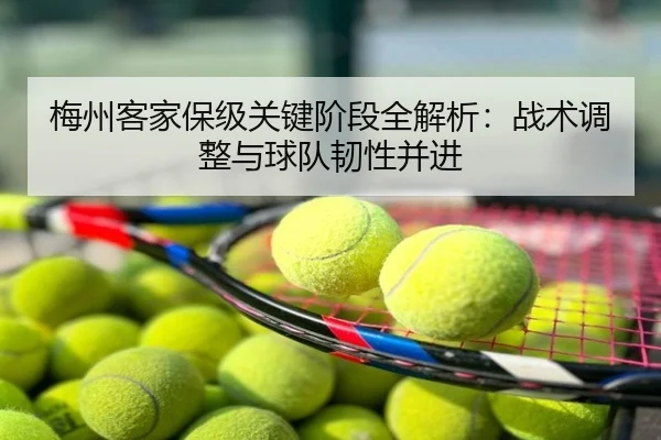 梅州客家保级关键阶段全解析：战术调整与球队韧性并进